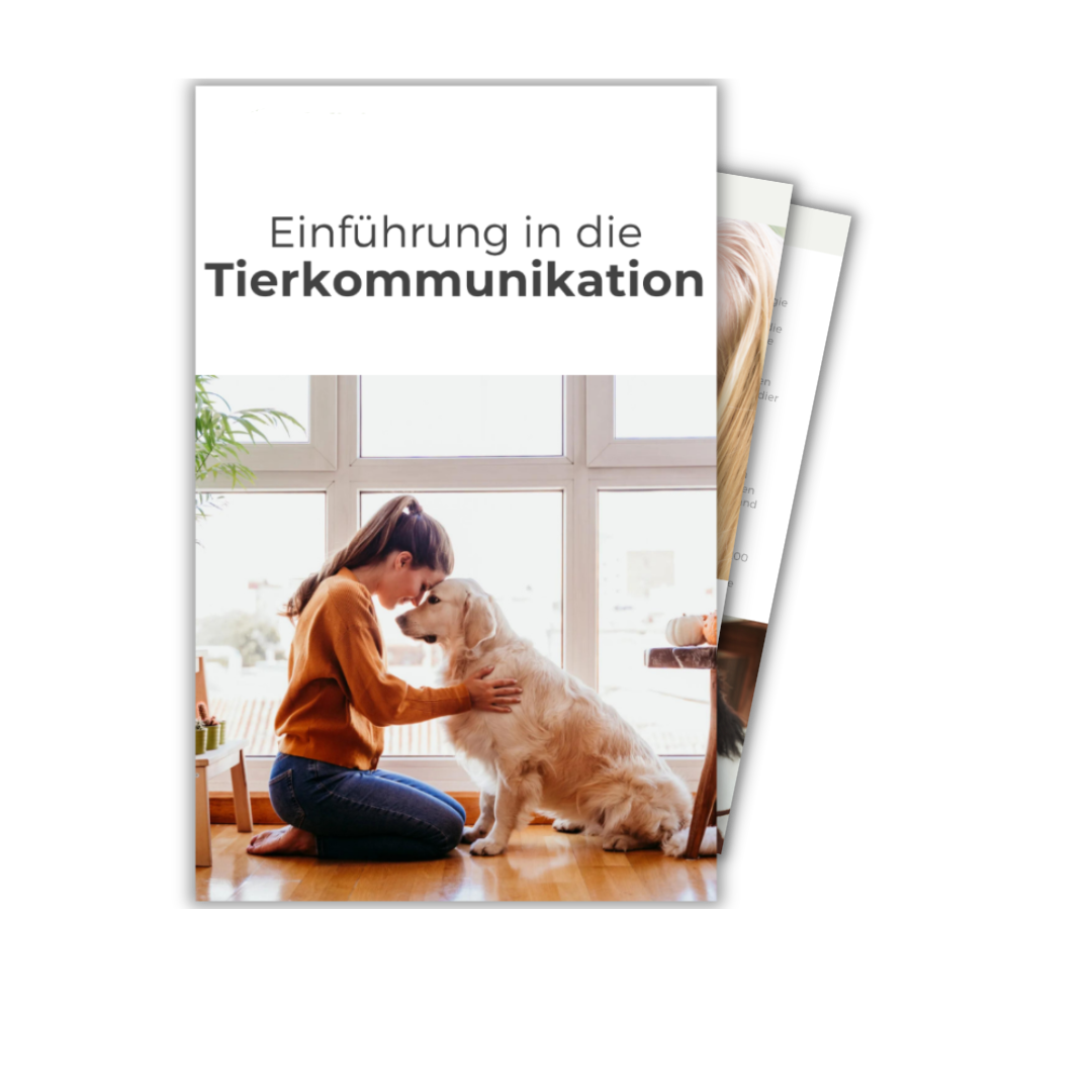 Entdecken Sie die Tierkommunikation — starten Sie noch heute Ihren kostenlosen Einführungskurs.